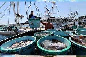 日本向世貿申訴：中共海鮮禁令完全不可接受【有片】