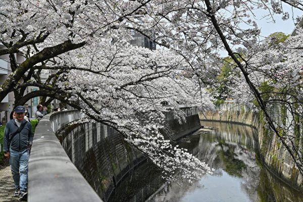 地球四季出現「失律」 正在轉變成六季？