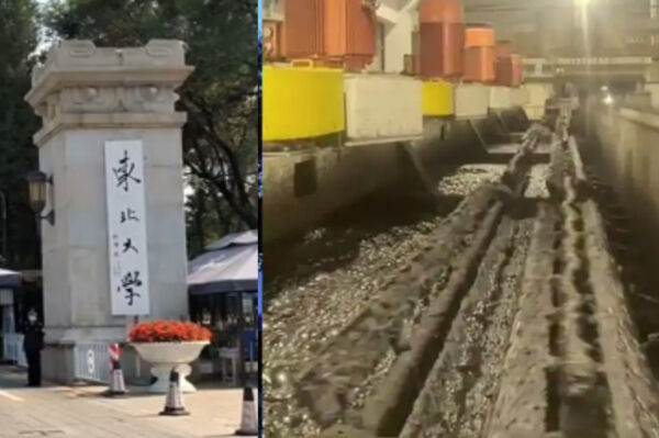 袁斌：東北大學6名學生究竟是溺亡還是遇難？