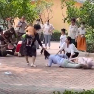 北京野生動物園8月7日發生遊客衝突事件。（微博截圖）