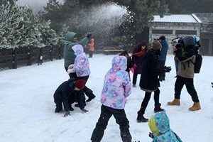 【圖輯】入冬最強寒流來襲 台灣高山降雪