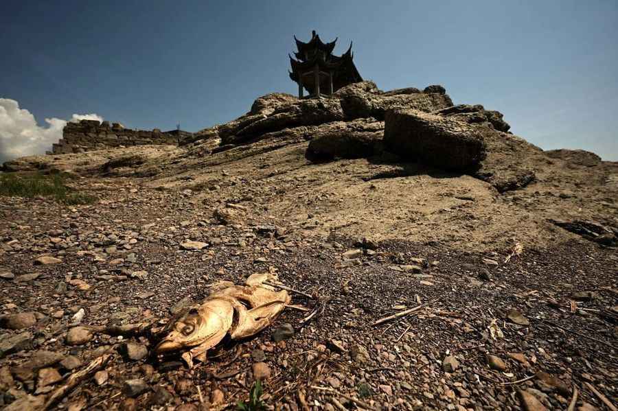 鄱陽湖變「草原」 專家：中國熱浪創世界紀錄