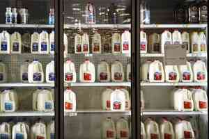 美眾院通過法案 全脂牛奶將納入全美學校午餐