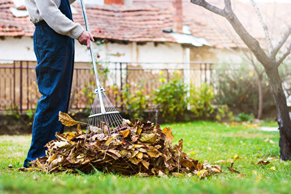 幫鄰居做些零工如耙樹葉、割草等園藝工作也能賺些零用錢。（Shutterstock）