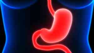 為甚麼胃酸不會灼傷胃部？ 專家釋疑