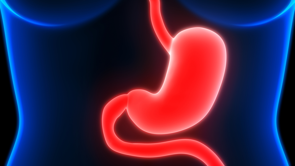 為甚麼胃酸不會灼傷胃部？ 專家釋疑