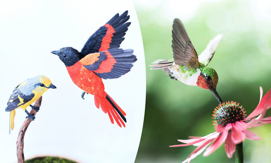 組圖：用紙做成的鳥類雕塑 刻劃生動逼真