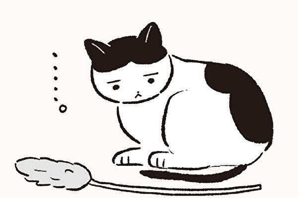 貓行為解讀：為何喜歡的逗貓棒不玩了？