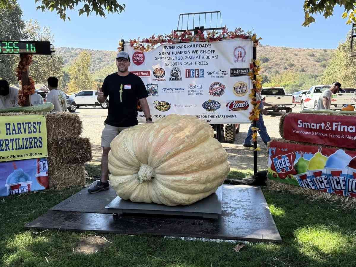 2025年9月20日,第10屆年度種植南瓜稱重大賽(Great Pumpkin Weigh-Off)在爾灣地區公園(Irvine Regional Park)舉辦,圖為來自橙縣的米申維耶霍(Mission Viejo)市凱文·馬特(Kevin Matter),他的南瓜重1,365磅。(李梅/大紀元)