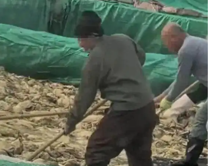 遼寧省興城市一家酸菜廠的員工在酸菜池中抽煙的影片被曝光。(影片截圖)