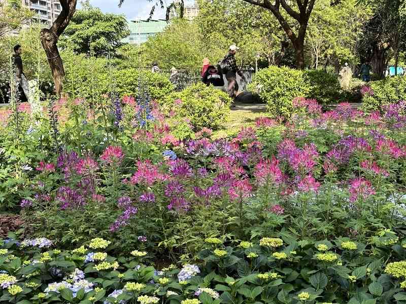 台北大安森林公園 漫步綠蔭花草蟲鳴間