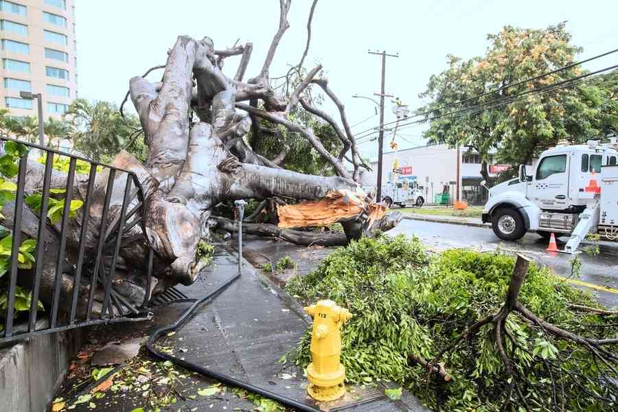 熱帶風暴莫克逼近夏威夷 或帶來暴雨洪水