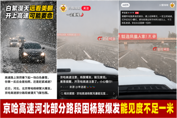 京哈高速楊樹飛絮如暴雪 能見度低 一度封路