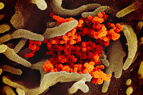 美CDC：發病前 中共肺炎病患可傳播病毒1-3天