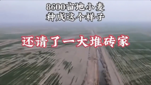 中國農村土地延包試點擴大 網曝資本下鄉亂象