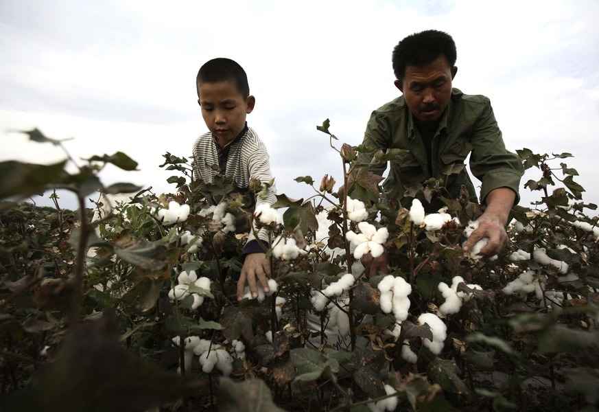 美國維吾爾族法案6月21日生效 將禁新疆產品