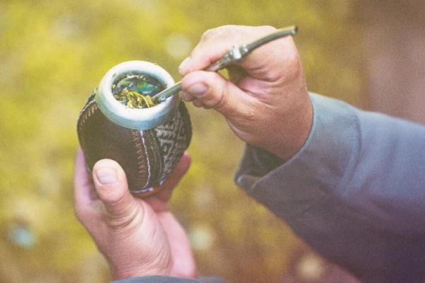 馬黛茶：提神飲品可降低血糖保護心臟健康
