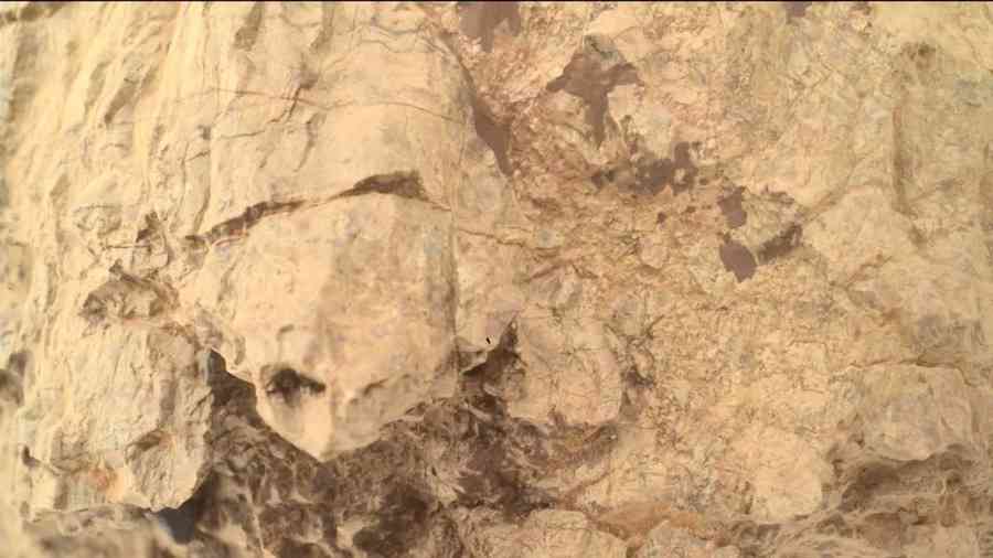 NASA毅力號在火星古老岩石中拍到「烏龜」