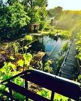 【圖輯】英國夫婦後花園打造「純天然」華麗泳池 種1500株植物作自然系統淨化雨水（影片）