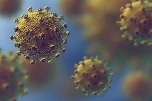 武漢肺炎讓科學家難解釋的多個現象。圖為武漢新冠病毒（COVID-19）顯微圖。（Creative Commons/Wikimedia）