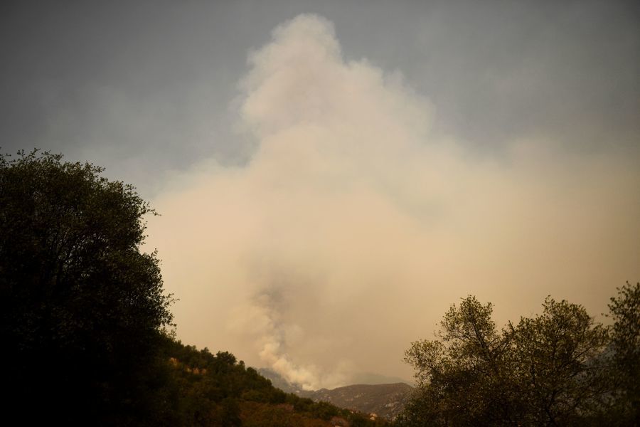 加州野火延燒 著名紅杉林面臨威脅