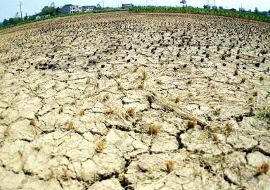 大陸乾旱持續數月 江西近33萬人飲水困難