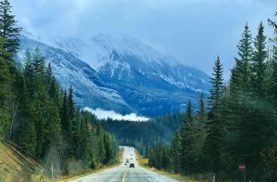 美國國家公園禮品店內DEI類商品將被下架