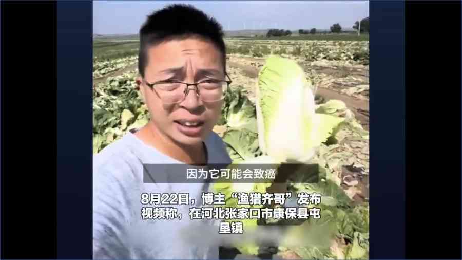 甲醛白菜風波席捲中國 食安問題為何難杜絕