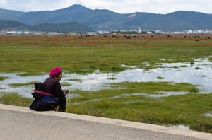 中共被曝以扶貧為名 強制數十萬藏人進訓練營