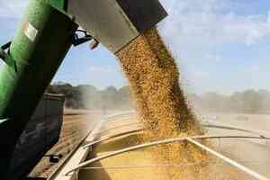 習特會談日期延後 大豆價格下跌逾3%