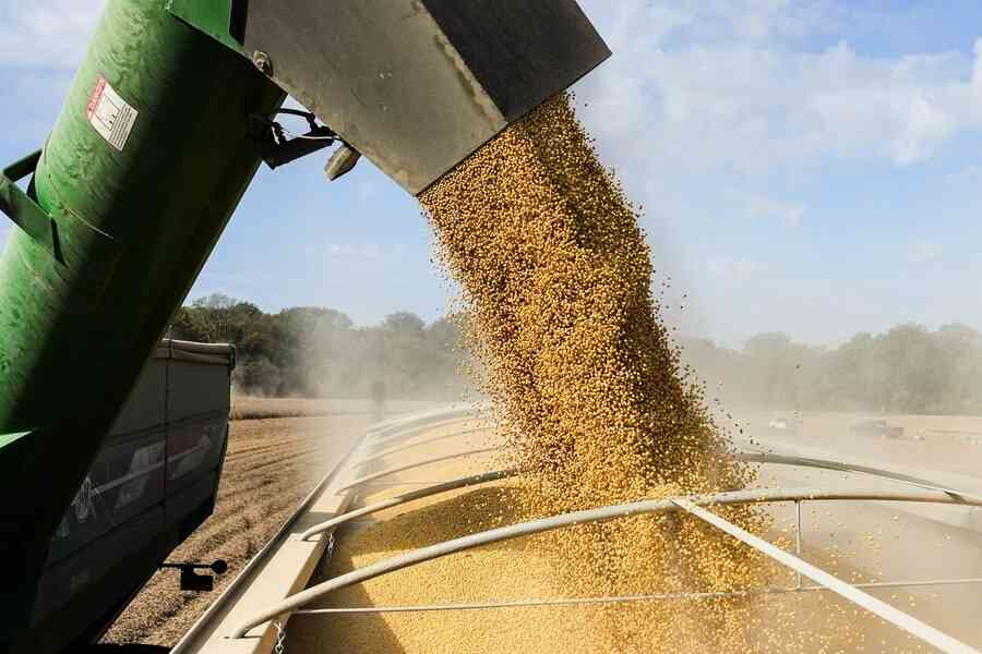 習特會談日期延後 大豆價格下跌逾3%