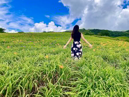 六十石山金針花海,是花東縱谷最迷人的季節限定風景。(圖/王芊芊提供)