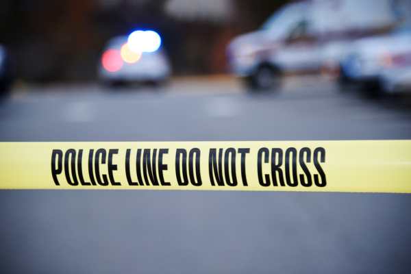謀殺華裔妻及岳父母 荷里活名流之子獄中自殺