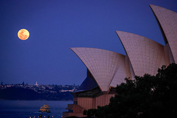 2023年9月29日，澳洲悉尼，當地觀測到的「超級月亮」現象。（David Gray/AFP）