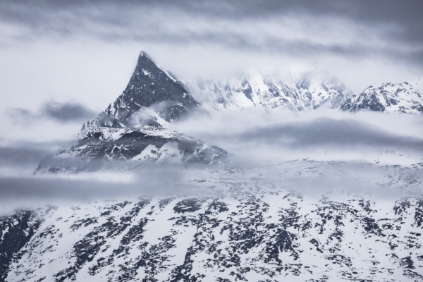 美反恐精銳部隊參加北極軍訓 艱苦程度超想像