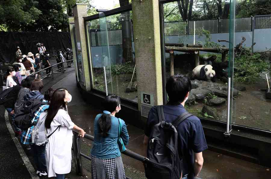 中日關係緊張 上野公園2熊貓將提早歸還中國