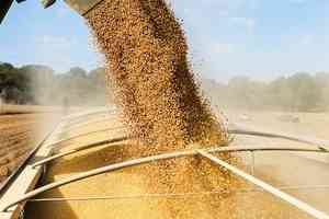 貝森特:中共將延遲稀土出口控制 購買美國大豆