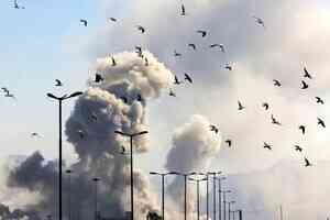 特朗普打擊伊朗向中共釋訊號：實力就是實力