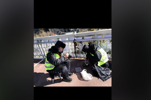 防反共標語 「兩會」期間北京急募看橋員