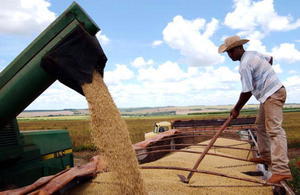 貿易戰升級 美將實施160億農業援助計劃