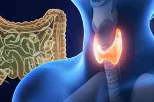 甲狀腺功能減退及其改善方法