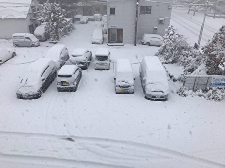 受到寒流影響，北海道廣範圍地區下大雪，6日札幌市積雪達22公分，11月上旬雪量創下21年紀錄。（民眾提供／中央社）