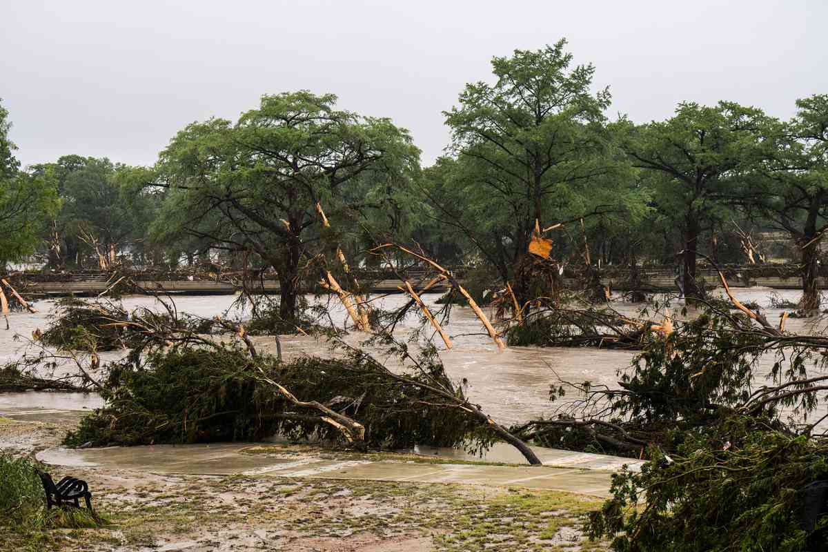 2025年7月4日,德州克爾維爾(Kerrville),瓜達盧佩河(Guadalupe River)水位暴漲,河中樹木半淹於洪水中。連日豪雨導致德州中部河流水患,已造成幾十人罹難。(Eric Vryn/Getty Images)