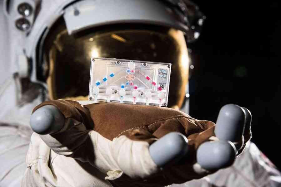 Artemis II太空人攜帶自身組織活體樣本進行繞月飛行