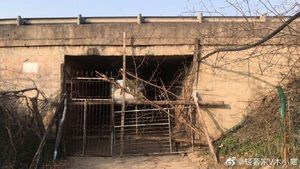 組圖：中共肺炎疫情氾濫 湖北緊急宣佈全省封村
