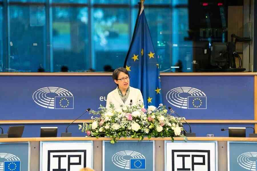 夏言：蕭美琴歐洲議會演講 西方從「一中」到「一信」的選擇