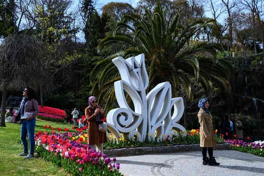 【圖輯】土耳其鬱金香節登場 數百萬株花卉迎客