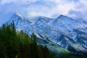 金山風雲之頂天立地（19）苦盡甘來