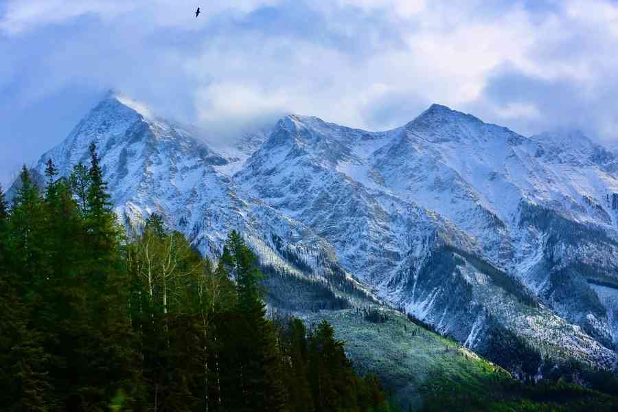 金山風雲之頂天立地（19）苦盡甘來