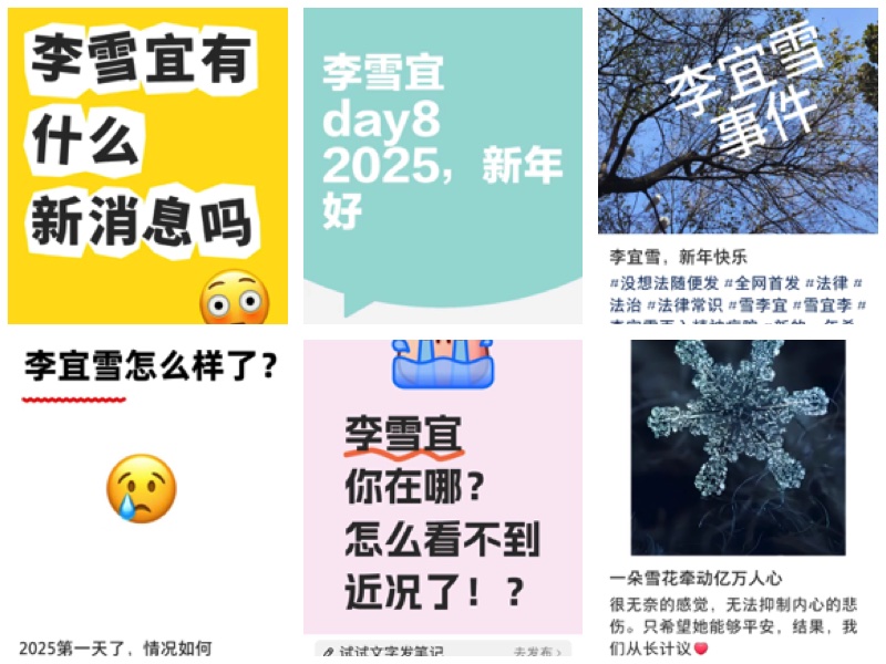 新年首日民間續挺李宜雪 權威專家：她沒病